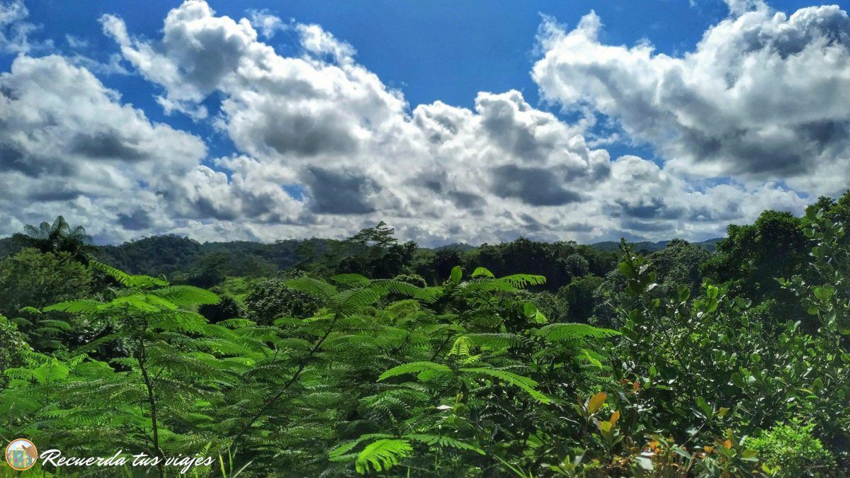 Organiza tu viaje a Jamaica - Interior de Jamaica