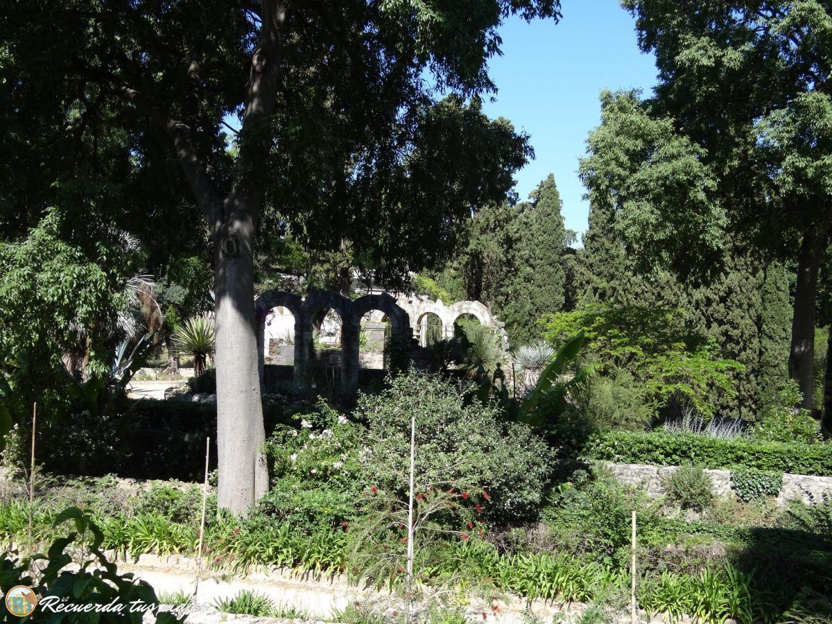 Jardín Botánico