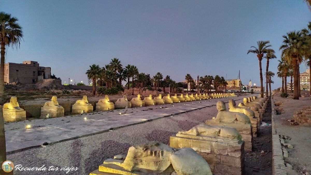 Qué ver en Egipto - Vía de las esfinges Lúxor-Karnak