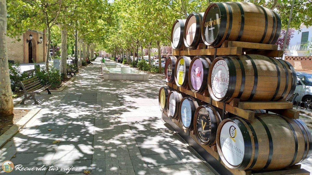 Qué hacer en Tomelloso - Barriles de bodegas
