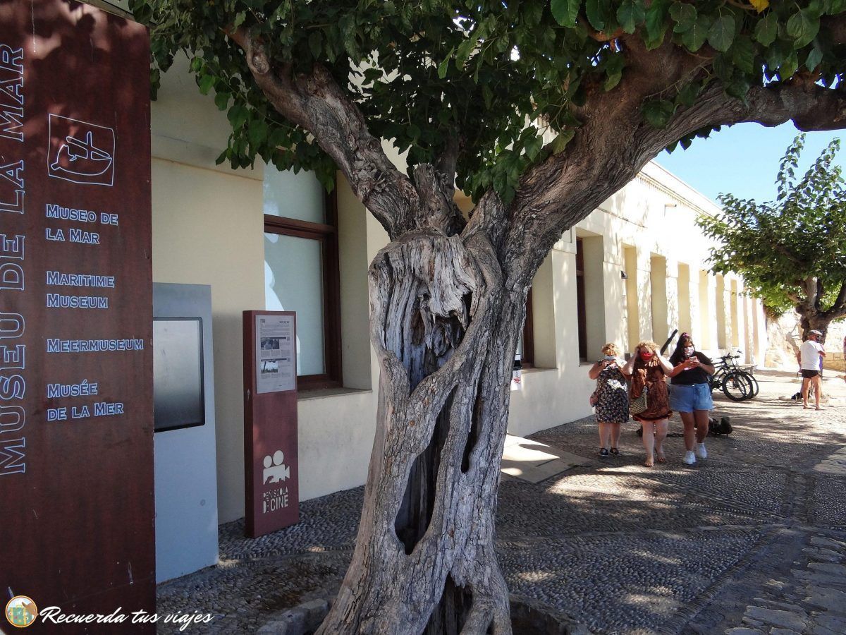 Qué ver en Peñíscola - Museo de la mar