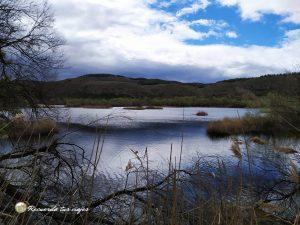Lee más sobre el artículo Lagunas de Velilla de San Antonio