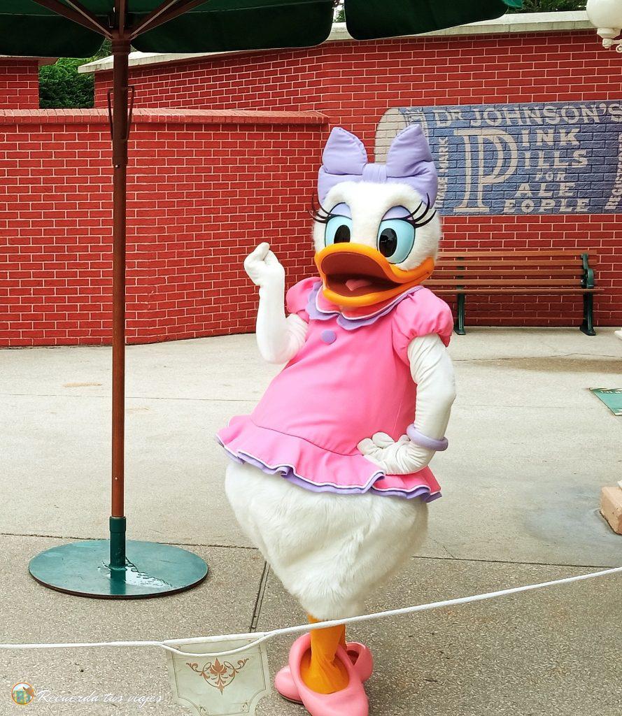 Daisy