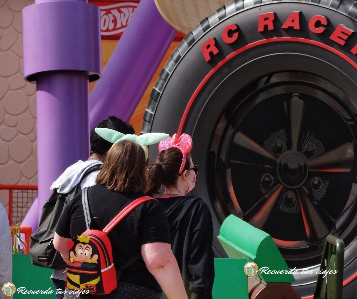 Diferencias entre Disneyland París y Disney World Orlando - Adornos Disney en París