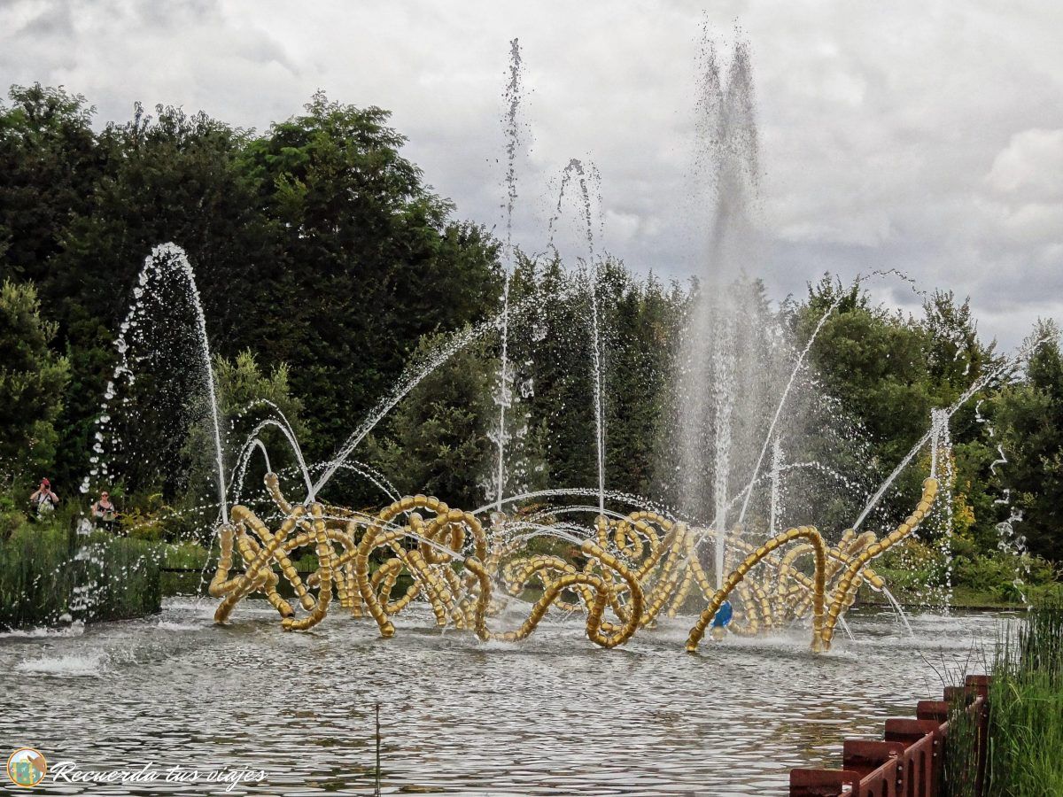 El bosque del teatro del agua
