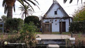 Lee más sobre el artículo Visitar la Albufera de Valencia