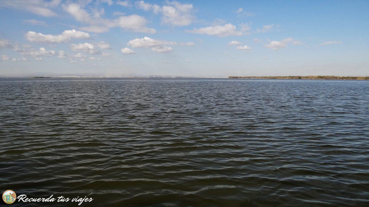 Visitar la Albufera de Valencia - La laguna