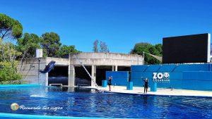 Lee más sobre el artículo 1 día en el Zoo Aquarium de Madrid