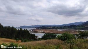 Lee más sobre el artículo La Comarca de la sidra en Asturias