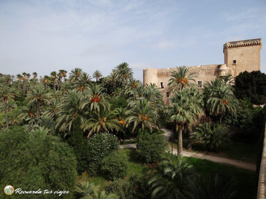 El Palmeral de Elche - Visitar Elche en 1 día en familia