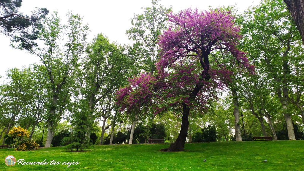 Paseando por el Retiro - Ver el Parque del Retiro de Madrid en medio día
