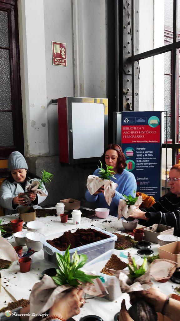 Taller de kokedamas