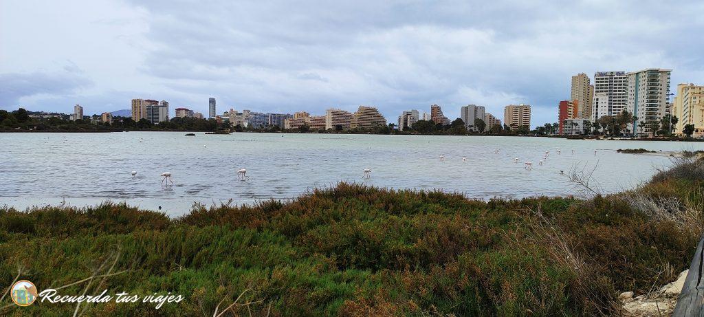 Las salinas - Qué ver en Calpe en 1 día