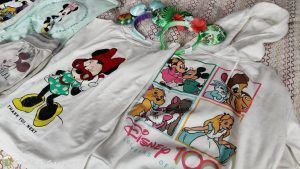 Lee más sobre el artículo Qué llevar en la maleta para Disneyland París