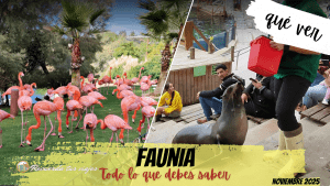 Lee más sobre el artículo Faunia ¡Más que un zoo!