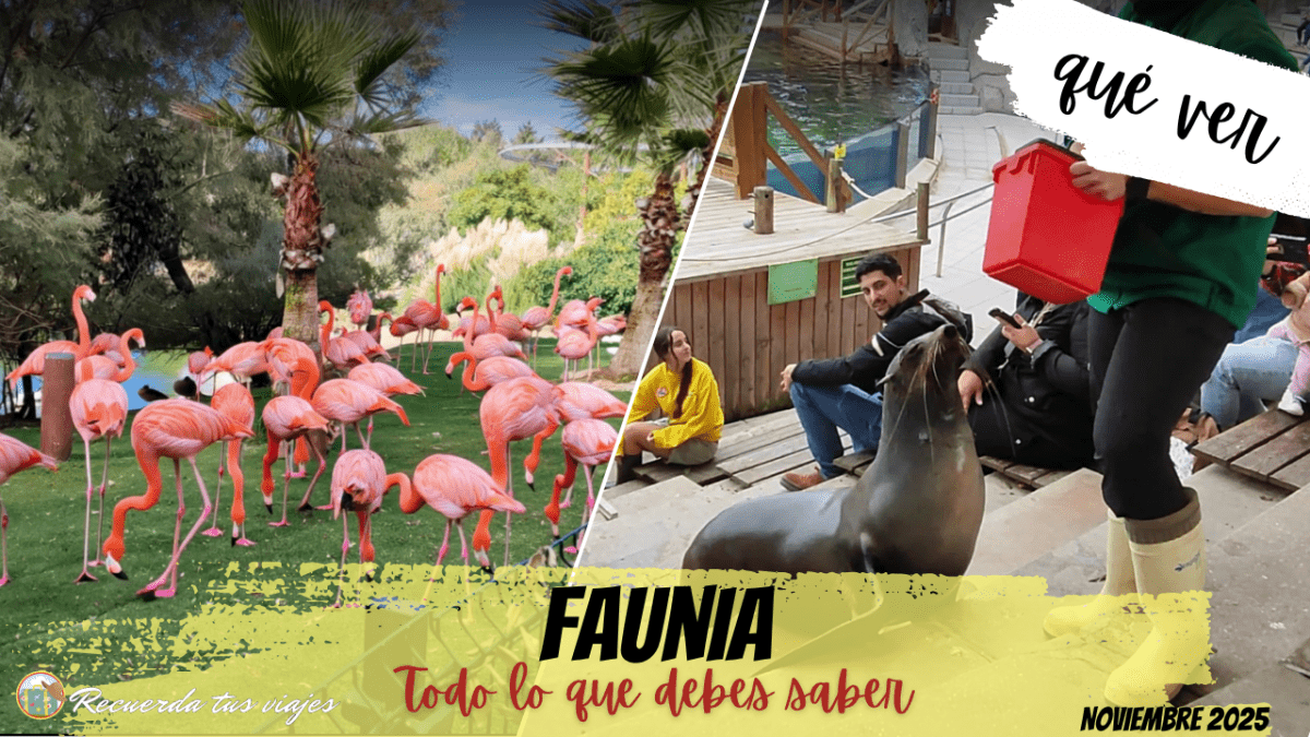 Lee más sobre el artículo Faunia ¡Más que un zoo!