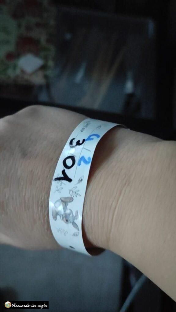 pulsera prioridad - Guía para disfrutar Disneyland París embarazada